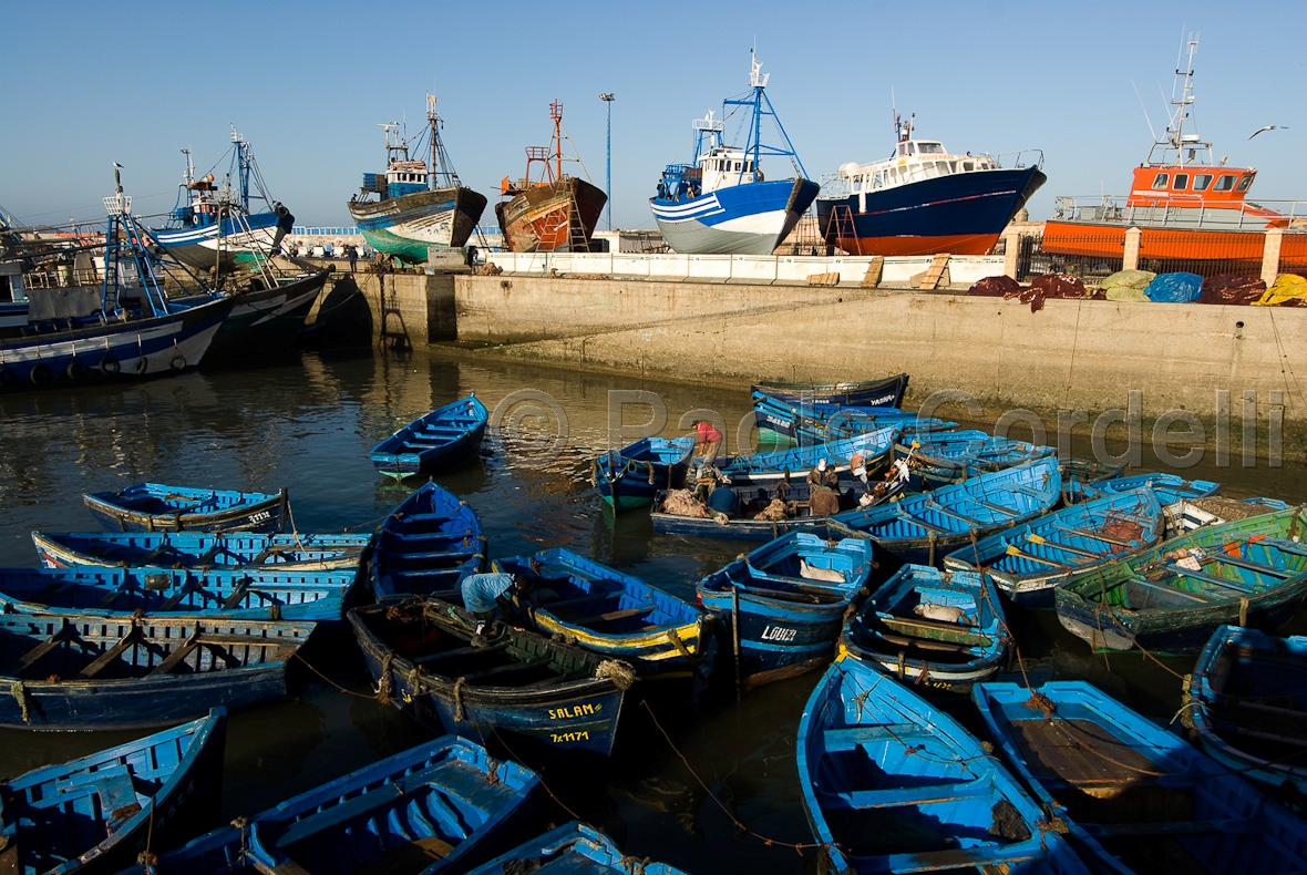 Fishing port, Essaouira, Morocco
 (cod:Morocco 79)